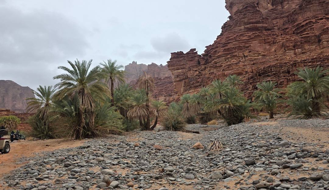 تبوك