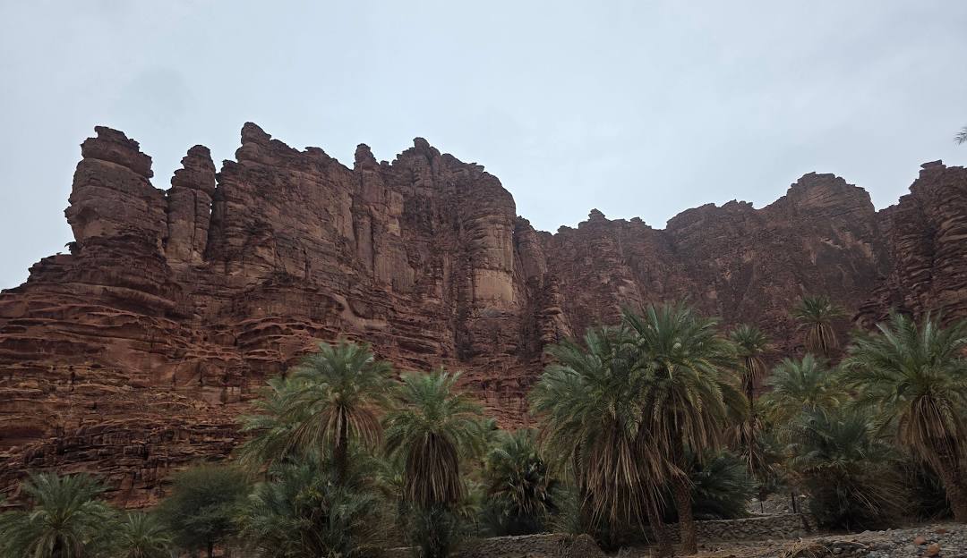صورة
